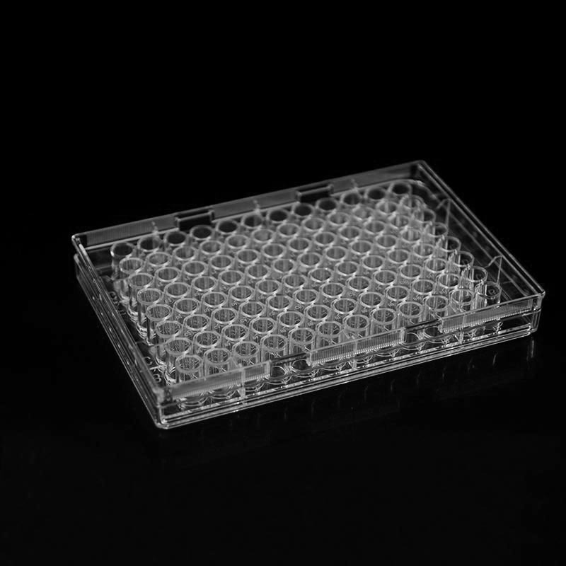 96 Well Culture Plate Used for Cell Culture